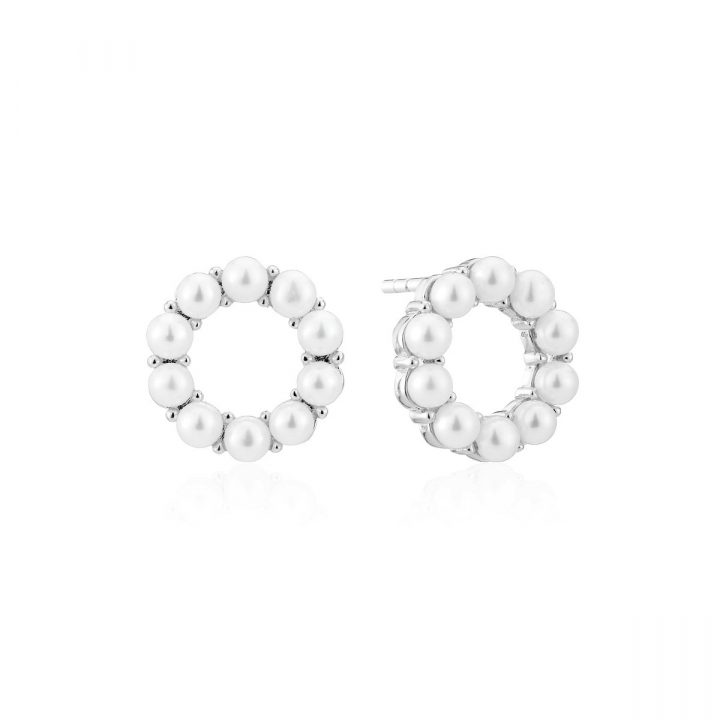 BIELLA ALTRO PERLA EARRINGS in the group Earrings / Pearl Earrings at SCANDINAVIAN JEWELRY DESIGN (SJ-E2433-P)