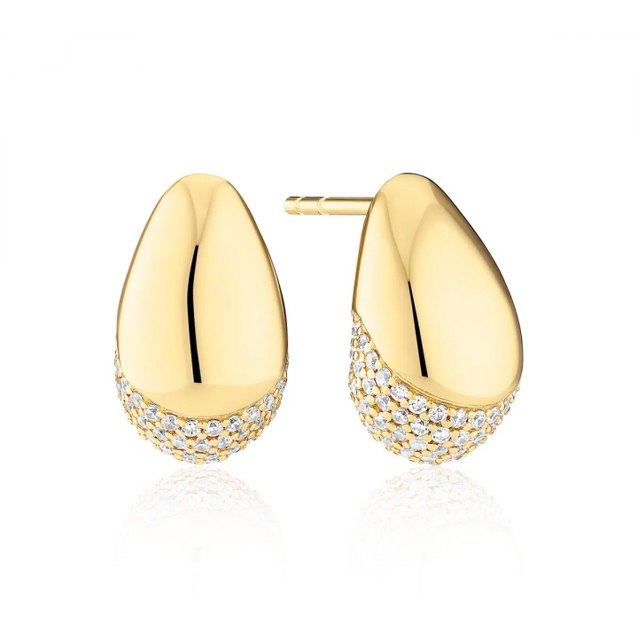 GOCCIA Earrings Gold in the group Earrings / Gold Earrings at SCANDINAVIAN JEWELRY DESIGN (SJ-E2479-CZ-YG)