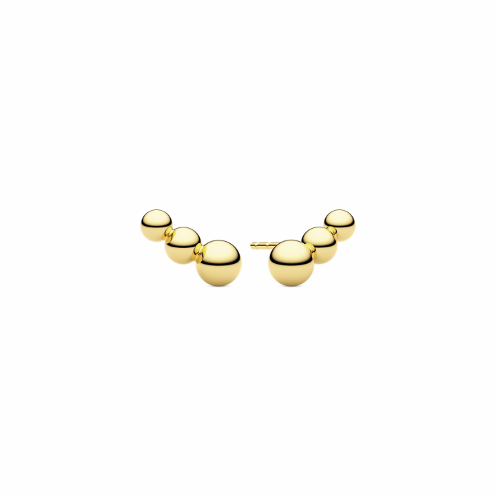 BORMIO PICCOLO EARRINGS Gold in the group Earrings / Gold Earrings at SCANDINAVIAN JEWELRY DESIGN (SJ-E2581-YG)