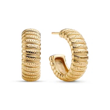  in the group Earrings / Gold Earrings at SCANDINAVIAN JEWELRY DESIGN (SJ-E2755-YG)