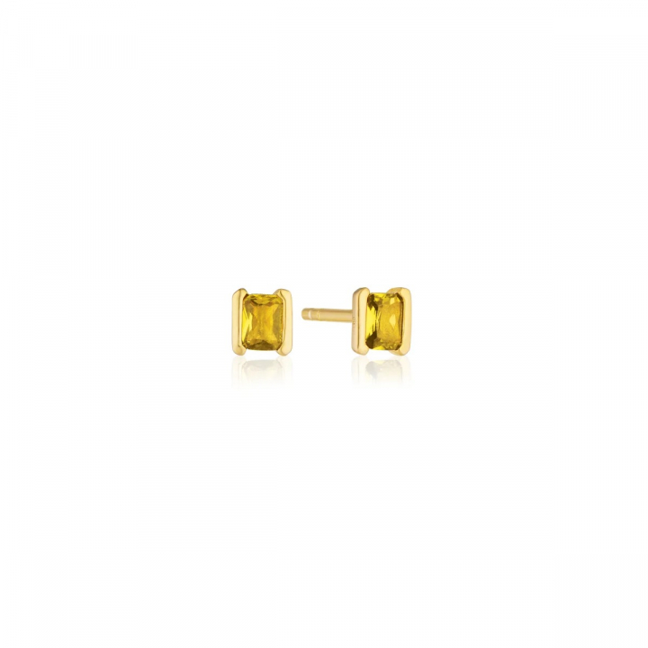 ROCCANOVA PICCOLO Earrings in the group Earrings / Gold Earrings at SCANDINAVIAN JEWELRY DESIGN (SJ-E42250-YELCZ-YG)