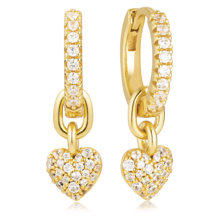 Caro Creolo Earring in the group Earrings / Gold Earrings at SCANDINAVIAN JEWELRY DESIGN (SJ-E72352-CZ-YG)