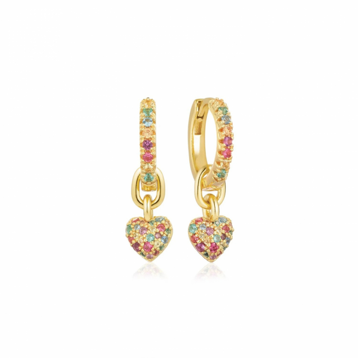 CARO CREOLO Earring in the group Earrings at SCANDINAVIAN JEWELRY DESIGN (SJ-E72352-XCZ-YG)