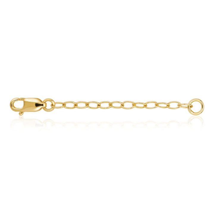 Förlängningskedja (Gold) in the group Accessories at SCANDINAVIAN JEWELRY DESIGN (SJ-EXTENS-YG)
