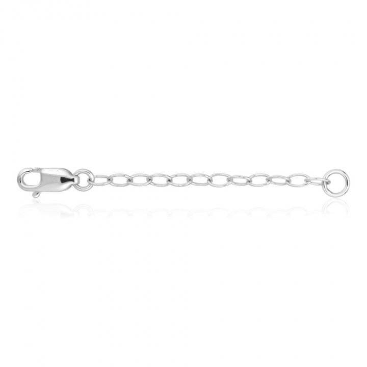 Förlängningskedja (Silver) in the group Accessories at SCANDINAVIAN JEWELRY DESIGN (SJ-EXTENS)
