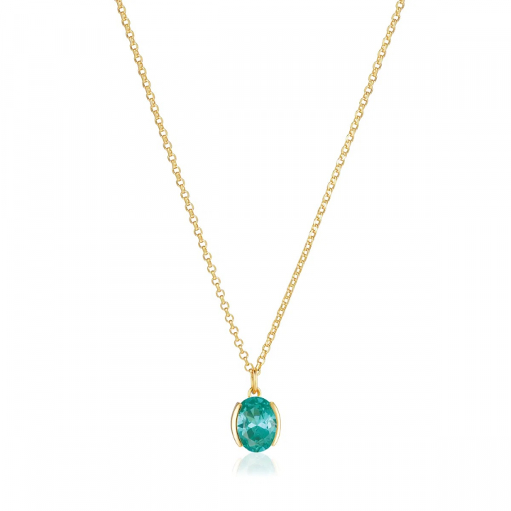 ELLISSE CAREZZA Necklace Gold in the group Necklaces / Gold Necklaces at SCANDINAVIAN JEWELRY DESIGN (SJ-N2353-TQCZ-YG)