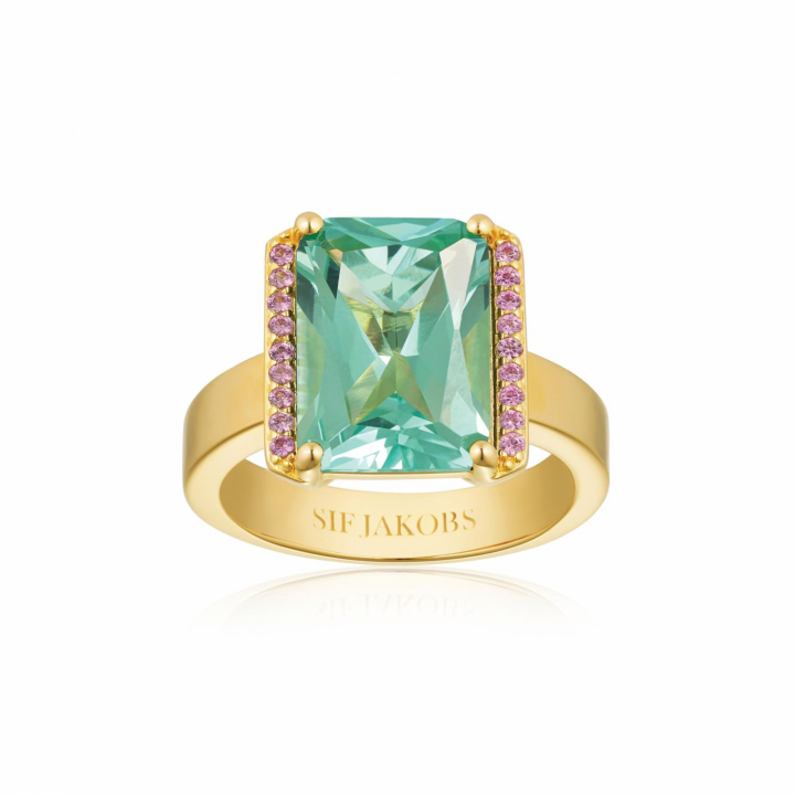 Roccanova Ring Gold in the group Rings / Gold Rings at SCANDINAVIAN JEWELRY DESIGN (SJ-R42267-TQPK-YG-58)