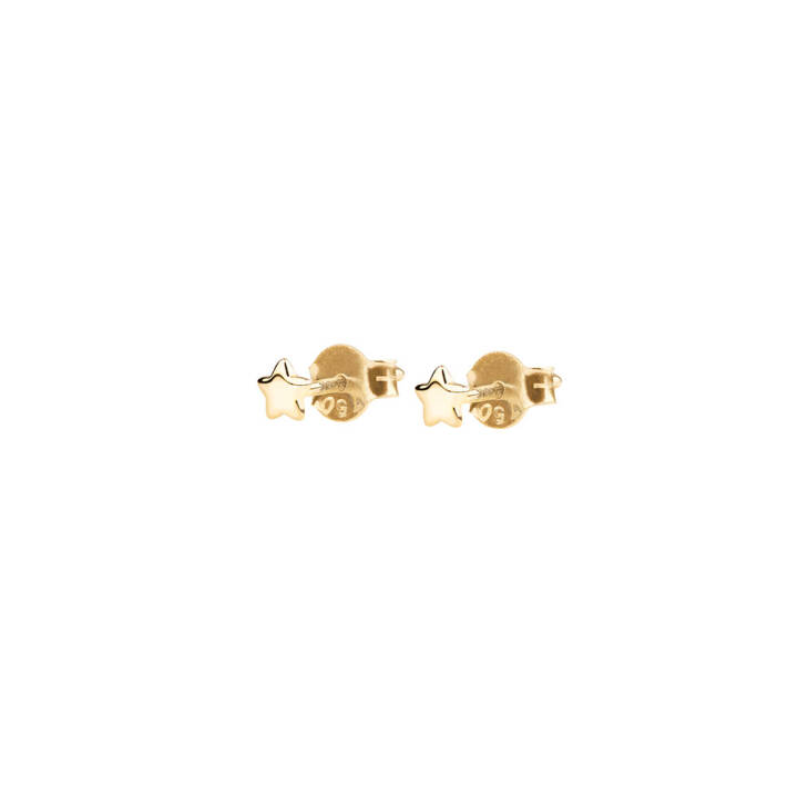 Stella Nova drop Earring Gold in the group Earrings / Gold Earrings at SCANDINAVIAN JEWELRY DESIGN (SNA-E10000-G)