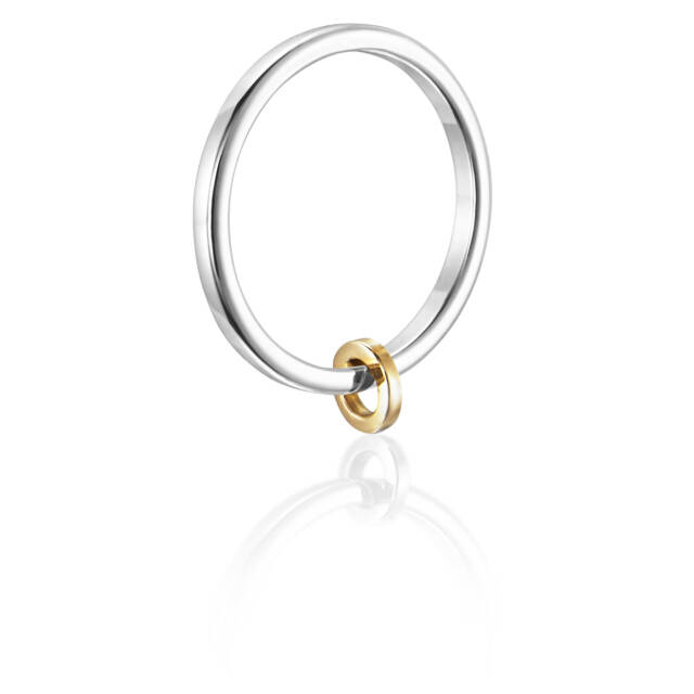 101 Days - Two Ring Silver