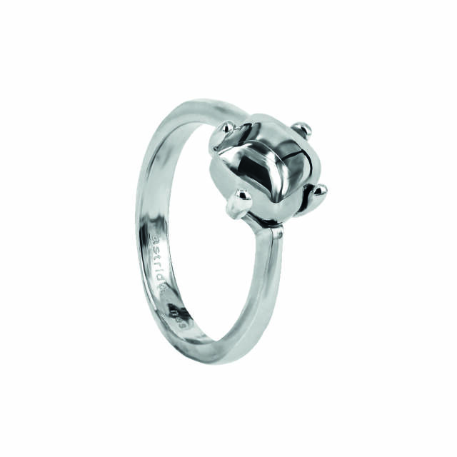VICTORIA Plain Steel ring