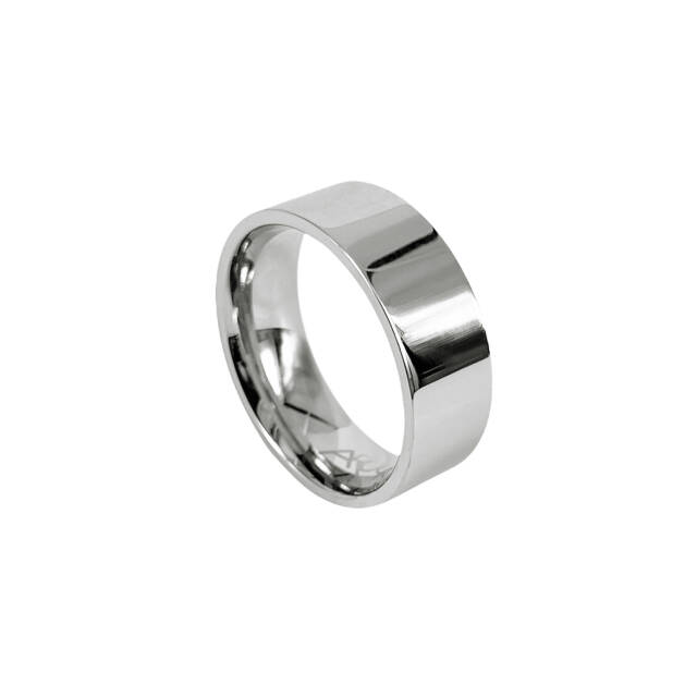 WALTER Blankt Steel ring