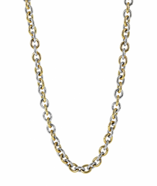 RUBY Small Long Necklaces Stål/Gold