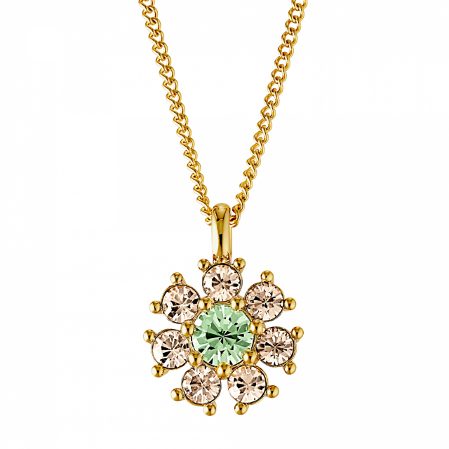 DELISE Gold L.GREEN/GOLDEN