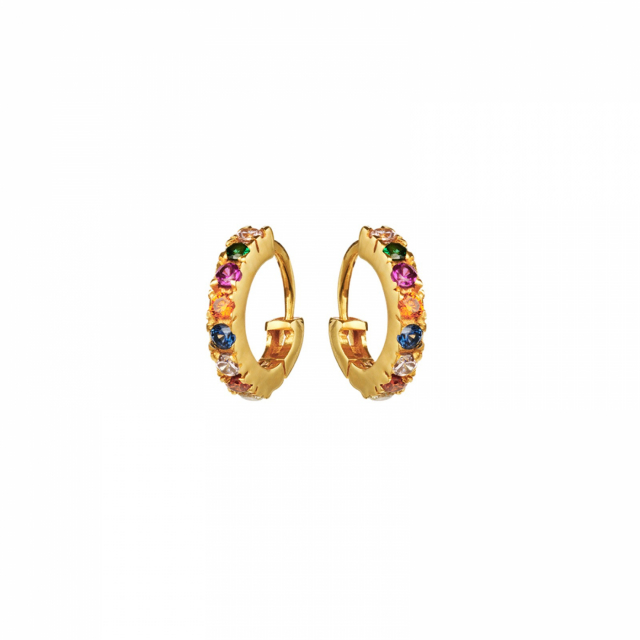 Nubia Color Earring (Gold)