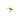 Sagene Trail Stud Goldplated Silver vänster (1st)