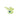 Flutura Lime Hair claw