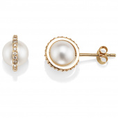 Day Pearl & Stars Earring Gold
