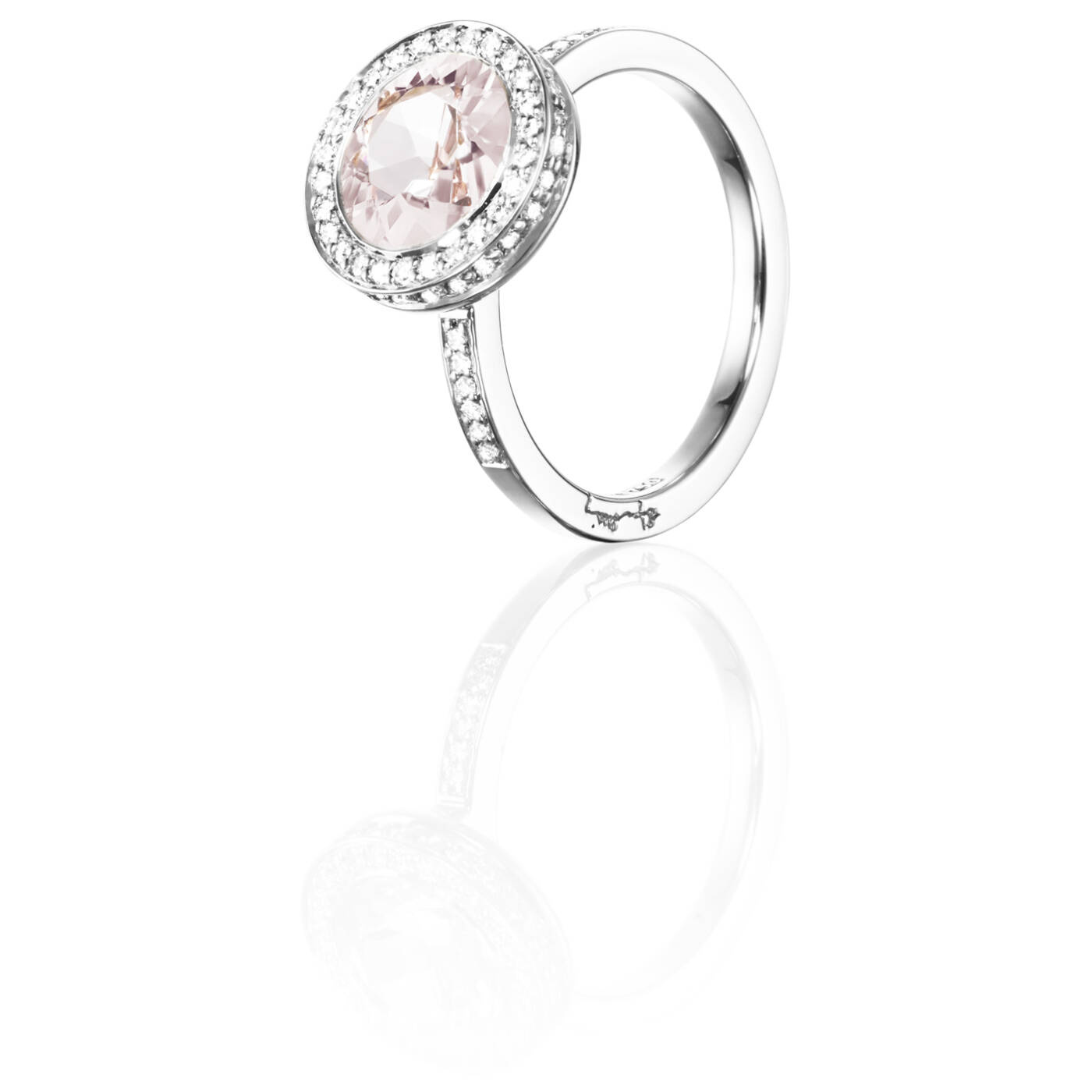 Halo - Morganite Ring White gold