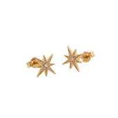 One star Earring Gold