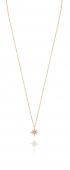One star Necklaces Gold 41-45 cm