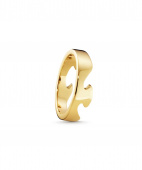 FUSION END Ring Gold