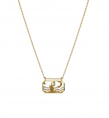 Zodiac vattumannen Necklaces (Gold) 45 cm