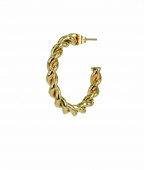 LEO Earrings Gold