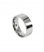 WALTER Blankt Steel ring