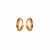 Nubia Color Earring (Gold)